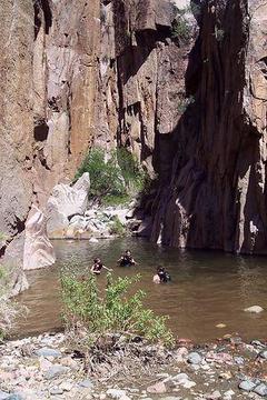 Last Swim In Salome