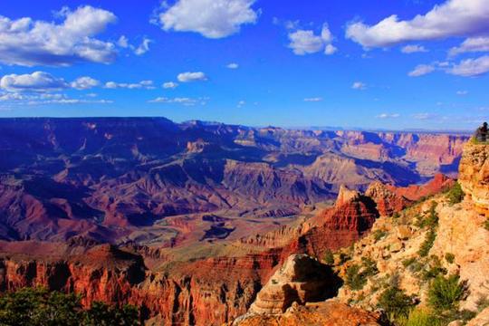 A Grand View