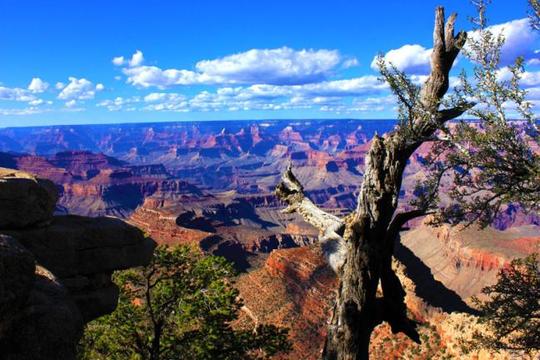 Wide Open Spaces