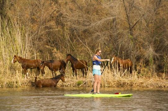 SUP Salt River 3