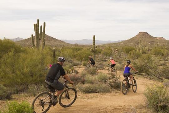 Phx MTB Group