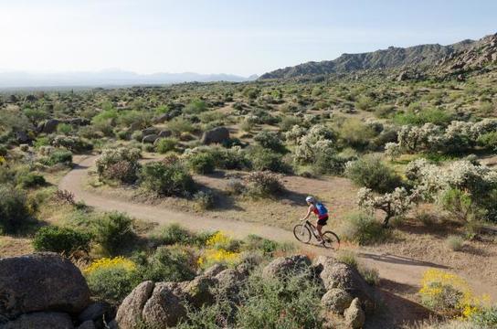 Phx MTB Solo