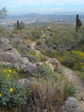 Phoenix Hiking Looking North