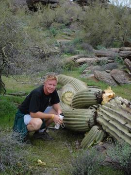 Phoenix Hiking Saguaro Down