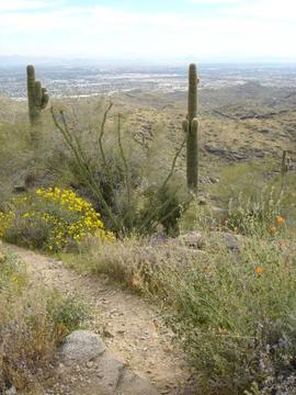 Phoenix Hiking View