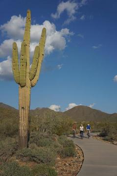 Phx Urban Biking 4