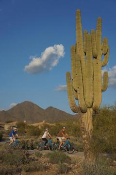 Phx Urban Biking 6