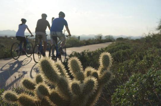 Phx Urban Biking 7