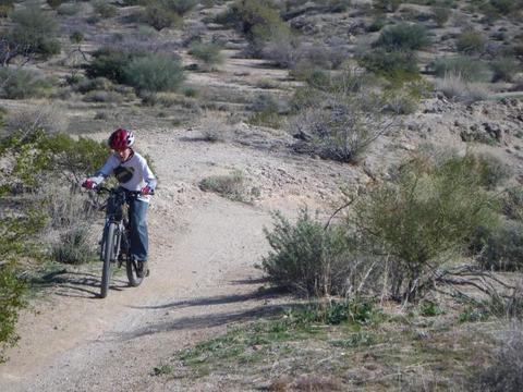Sonoran Desert Single Track