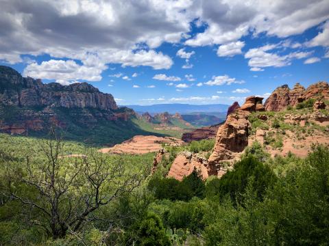 Sedona #5