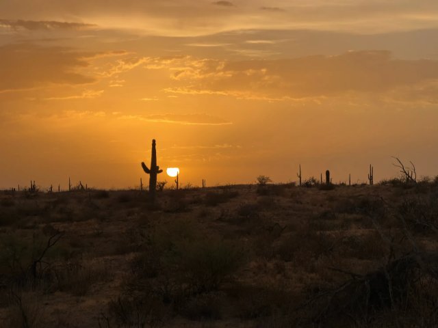 Scottsdale 4x4 Dune Buggy UTV Tour Gallery