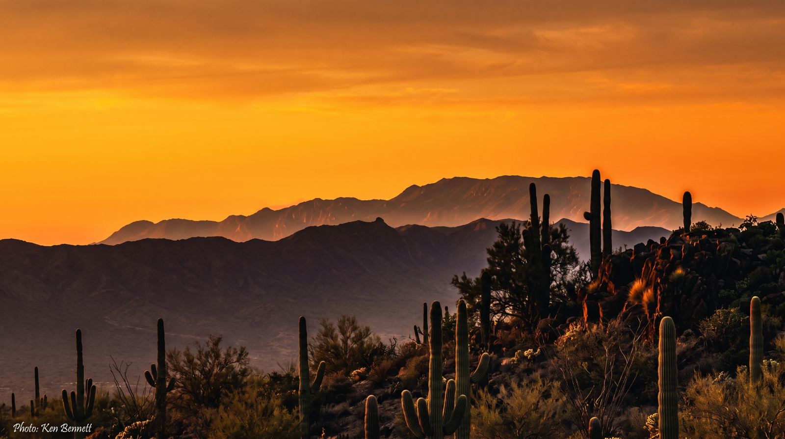 Last Light Over the Valley: A Guide's Take on the Sunset Hiking Tour in Scottsdale