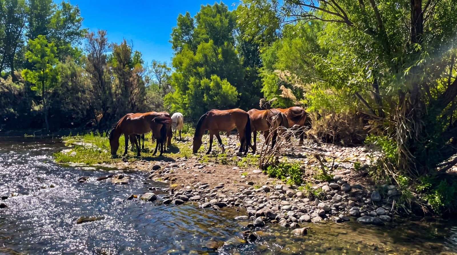 Salt River Kayak, Raft or Paddleboard? How to Choose
