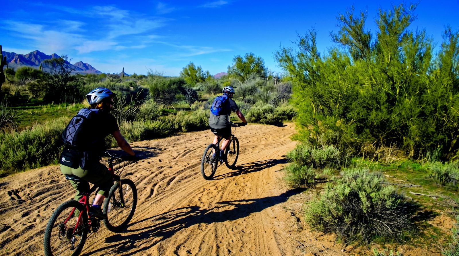 Sonoran Desert Singletrack: The Rider's Guide to Mountain Biking in Scottsdale