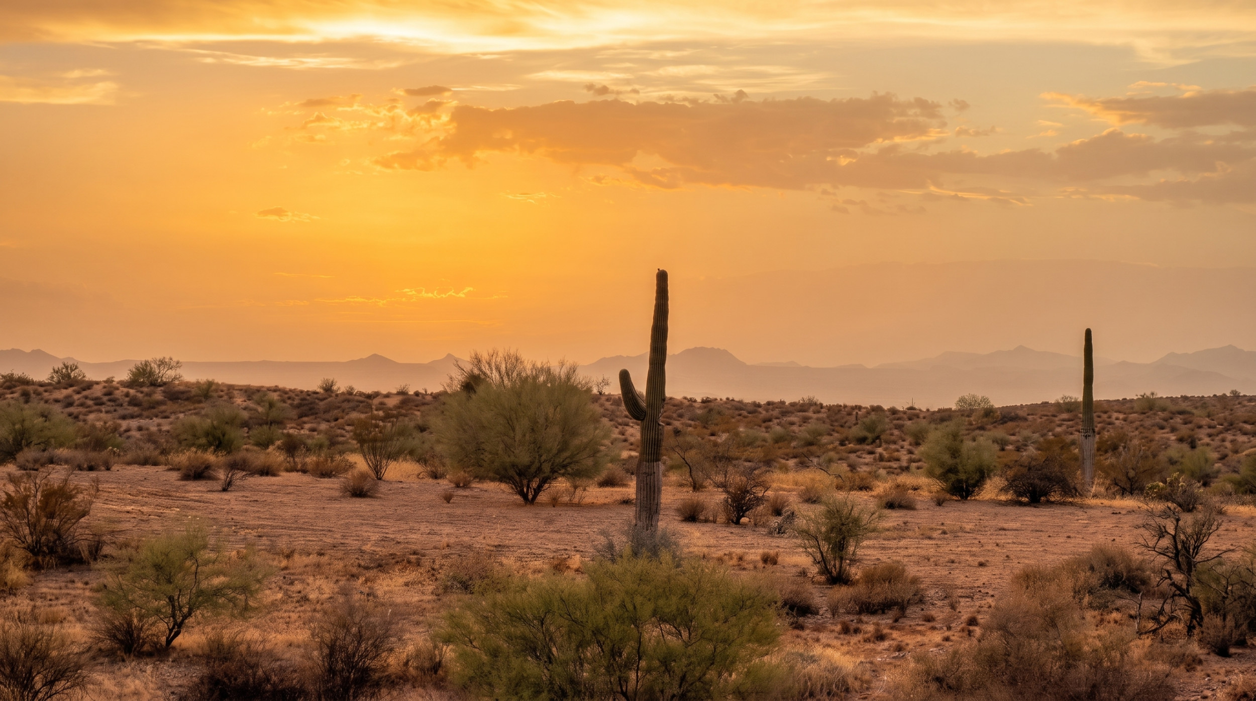 Your Desert, Your Rules: A Guide's Take on the Private VIP Dune Buggy Tour
