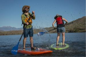 Salt River Stand-Up Paddle Boarding & Wildlife Tour