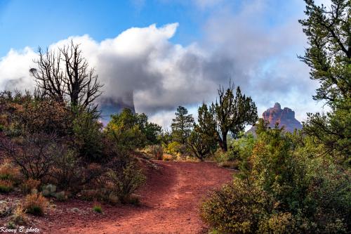 Private Sedona Day Tour from Phoenix & Scottsdale