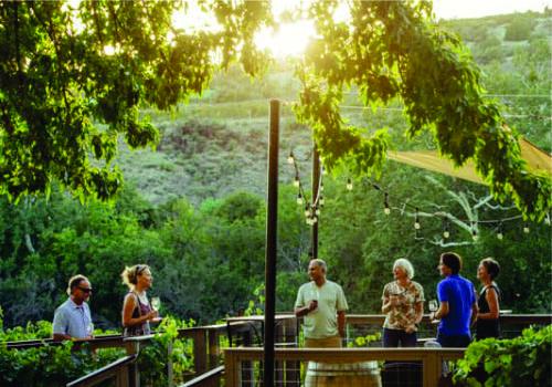 Private Sedona Red Rocks & Verde Valley Wine Tour from Phoenix & Scottsdale