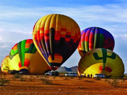 Scottsdale Celebrations
